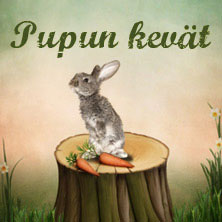 event-219341